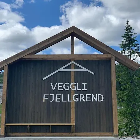 Ny Pa Vegglifjell Med 4 Soverom Og Hoy Standard
