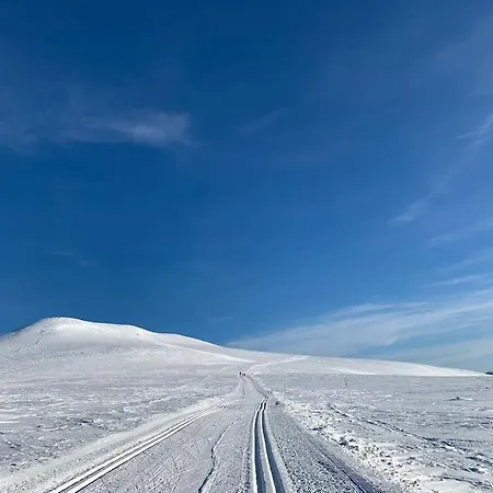 Ny Pa Vegglifjell Med 4 Soverom Og Hoy Standard Feriehus *