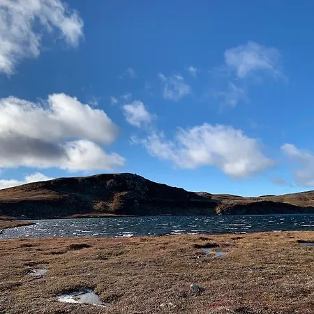 Holiday home Ny Pa Vegglifjell Med 4 Soverom Og Hoy Standard Tveiten