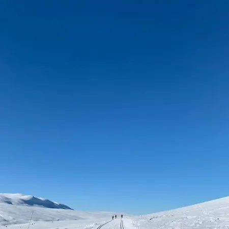 Ny Pa Vegglifjell Med 4 Soverom Og Hoy Standard * Tveiten